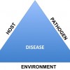 Figure 1.  Disease triangle indicating interaction of the pathogen, host, and the environment leading to a plant disease 