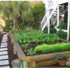 Figure 2.  Raised beds can be elaborate and esthetically pleasing.