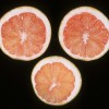 Figure 2. These fruit show calcium deficiency symptoms; they are undersized and misshapen with shriveled juice vesicles. Credit: Dr. R. C. J. Koo