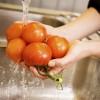 Figure 3.  You can use a scrub brush or your hands to clean tomatoes while washing them under cool running water. You should rinse and rub them for five seconds and then re-rinse them..