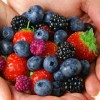 handfull of various berries