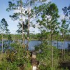 Figure 1. Scrubjay pond. Credit: Chris Demers, UF/IFAS Extension