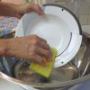 washing a plate in a basin