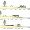 Figure 2. Coastal ecosystem migration is blocked by a road with a revetment (a sloping structure on the shore to absorb wave energy). Panel A shows current conditions in an idealized coastal profile. Panel B shows how ecosystems migrate inland as sea level rises. Panel C shows how migration can be blocked by a barrier, such as a road, trapping ecosystems between rising water and the barrier and reducing or eliminating them.