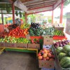 Figure 1. Fruit and vegetable stand on Krome Avenue in Homestead.