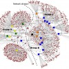 Figure 2. Network map of UM Extension by program area. 