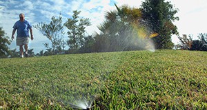 Man standing on lawn while sprinkler soaks turfgrass in foreground