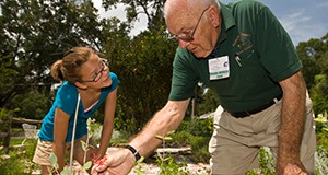 Master Gardeners teaching and working with youth in a garden