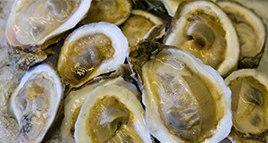 Raw oysters on ice. Oyster, shellfish, seafood, food safety. 2009 Annual Research Report photo by Tyler Jones