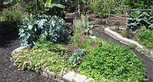 Community Garden