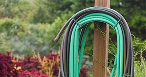 A coiled water hose awaits use in UF's Fifield Garden. Horticulture, irrigation, water, maintenance, spigot, lawn care. UF/IFAS Photo: Tyler Jones