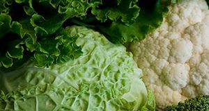 Varieties of green vegetables including lettuce, cabbage, cauliflower, and broccoli. Garden fruits and vegetables, foodstuffs. UF/IFAS Photo: Tyler Jones.