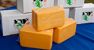 Cheese made by the University of Florida Dairy department.