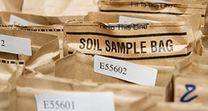 Bags of soil samples at the UF/IFAS soil testing lab  Photo Credits:  UF/IFAS Photo by Marisol Amador