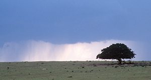 Storm rising over a farm.