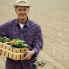 Figure 1. School districts in all 50 states are purchasing from local farmers. Credit: iStock/Thinkstock.com