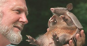 Joe Schaefer and an armadillo UF/IFAS photo