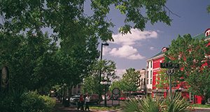 Gainesville Downtown UF/IFAS file photo