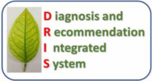 Diagnosis and Recommendation Integrated System (DRIS) logo