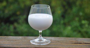 A tulip glass half full of coconut milk. Credit: Lincoln Zotarelli, UF/IFAS