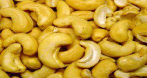 Cashew nut snack, roasted and salted. Credit: Femto on Wikipedia, CC BY-SA 3.0
