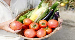 A person holding a basket of tomatoes, eggplants, bell peppers, and corn. Credit: kazoka30/iStock/Thinkstock.com