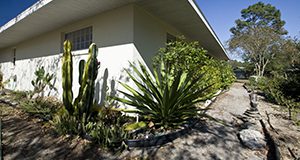 Photo of house with drought-tolerant plants planted near the house and a permeable-surface path around it.