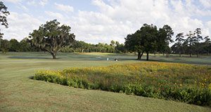 Photo of a golf course with a wildflower planting.